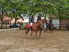 PO 2008 (42)